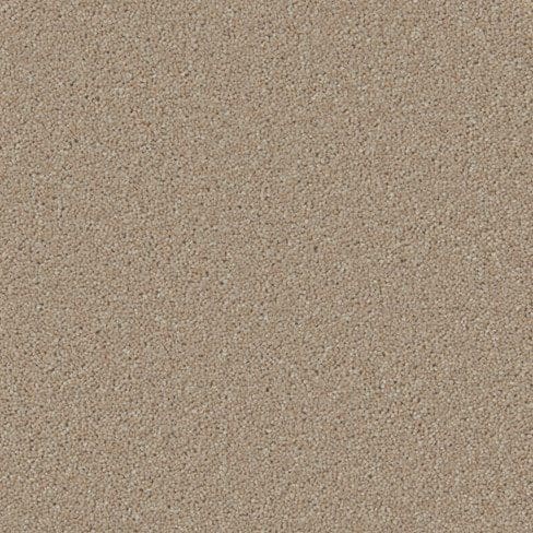 Close-up view of a beige speckled surface, resembling grains of sand or a textured wall finish.