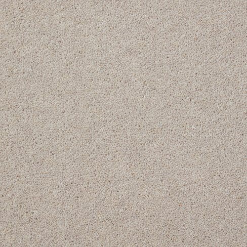 Close-up of a surface covered in fine, light-colored sand or granular texture.