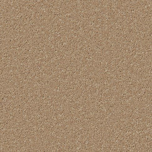 Close-up image of a corkboard surface, showing its granular, textured appearance in a light brown color. Suitable for pinning notes and memos.