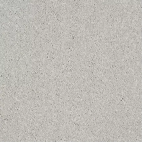 Close-up of a light gray textured surface, possibly concrete or stone, with a slightly speckled appearance.