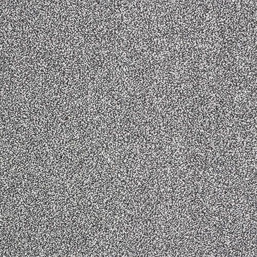 A close-up image of a grey, speckled texture, resembling static on a television screen.