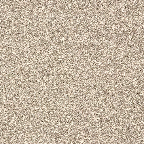A close-up view of a beige carpet with a dense, textured pile.