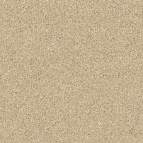 A close-up view of a flat, evenly colored beige surface, possibly representing a texture or material like fabric or paper.