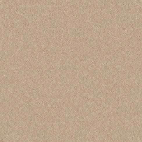 Close-up image of fine, light brown sand texture.