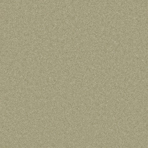 An image showing a uniform grainy texture with a predominantly beige color. The surface appears consistent with slight variations in shade throughout.