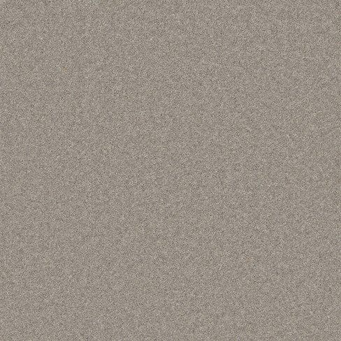 A close-up view of a grey textured surface resembling grainy paper or fine concrete.