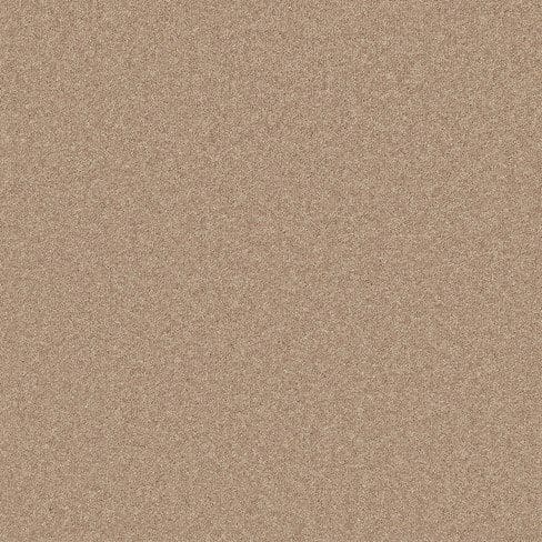 Close-up image of a textured beige surface featuring a fine, uniform grain pattern.