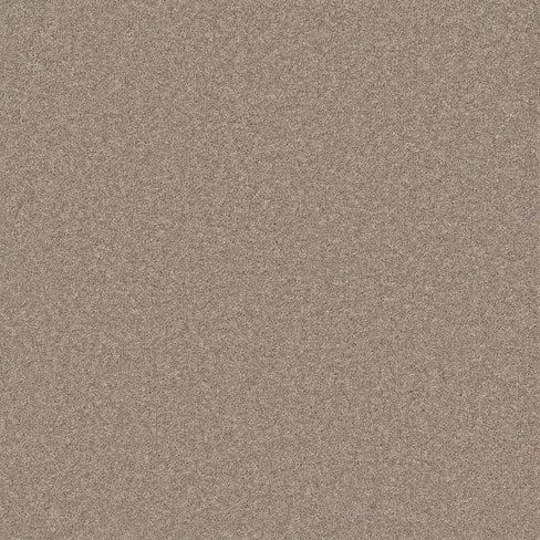 A close-up view of a textured surface in a muted brownish color, resembling static or a speckled pattern.