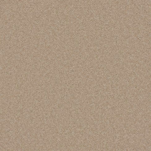 Beige textured surface with a sandy appearance.