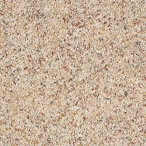 Close-up view of beige carpet with a textured, multi-toned pattern, featuring flecks of brown, tan, and cream.