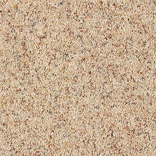 Close-up view of a beige carpet with a textured, looped pile surface.