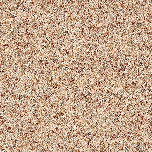 Close-up of a beige and light brown speckled carpet texture, showing a dense and uniform pattern.
