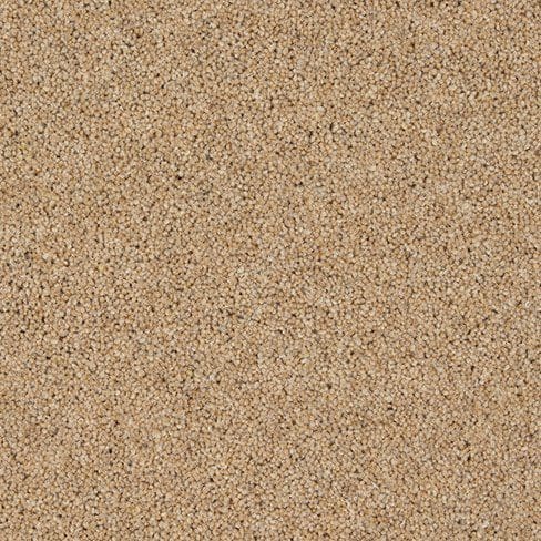 Close-up view of a textured surface with small beige particles, resembling sand or fine gravel.