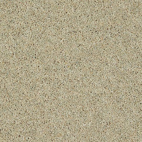 A close-up of beige textured carpet flooring.