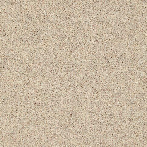 Close-up of beige carpet with a textured, looped design. The shades of beige and specks of light brown create a subtle, speckled pattern.