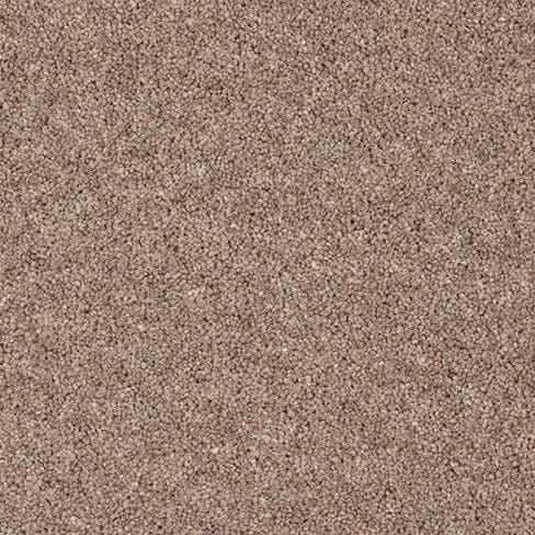 Close-up of a textured surface with small, brownish granules densely packed together. The overall appearance is uniform and earthy.