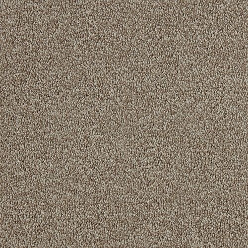 A close-up view of beige-colored carpet with a slightly textured, looped pile surface.