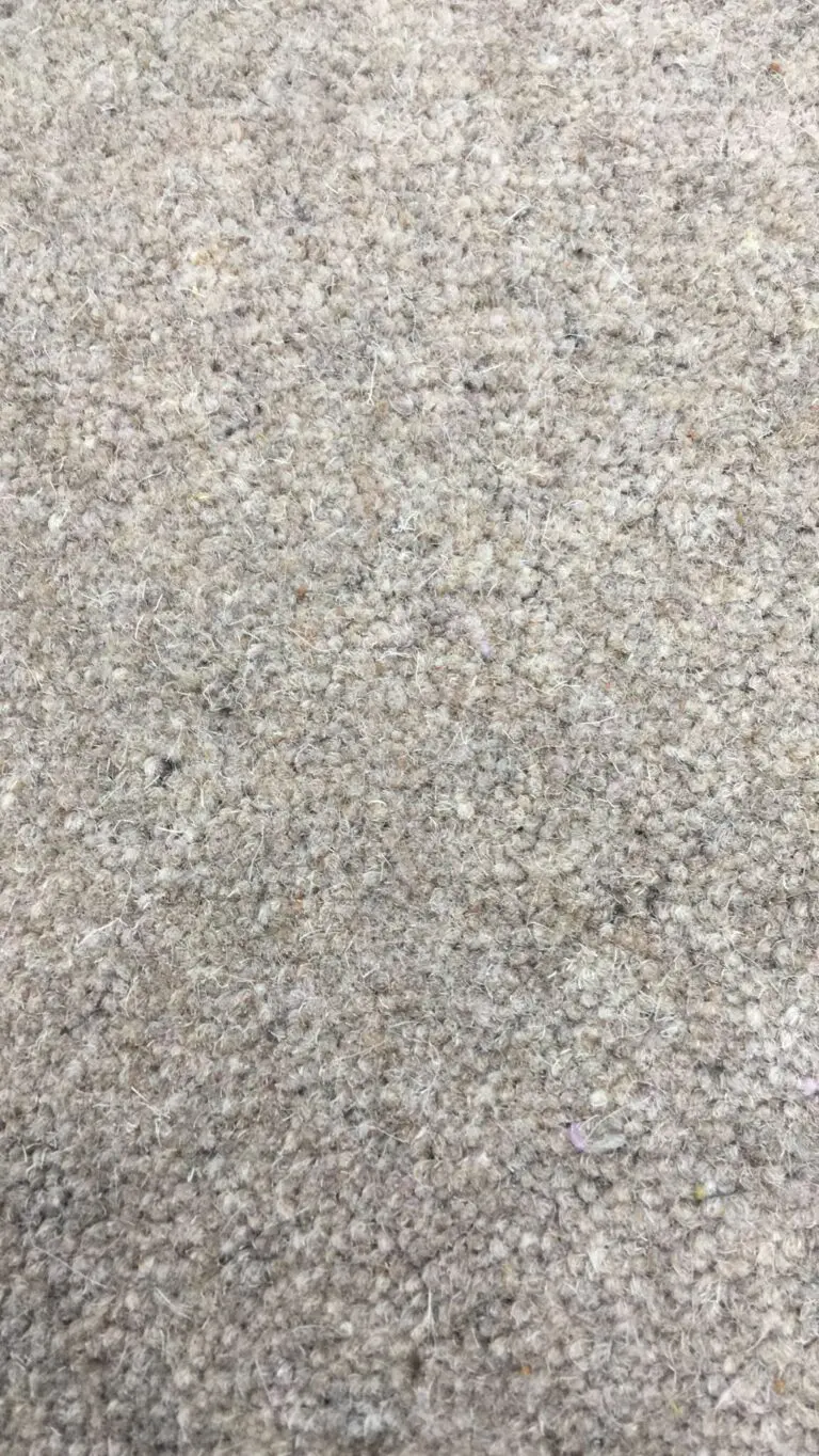 Close-up view of a beige carpet, highlighting its textured fabric and dense fibers.