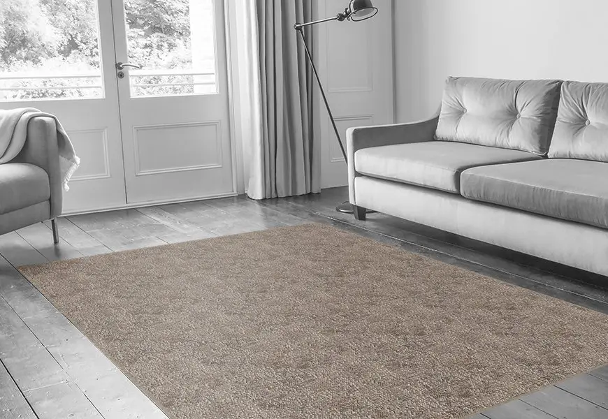 Modern living room with gray sofa, rug.