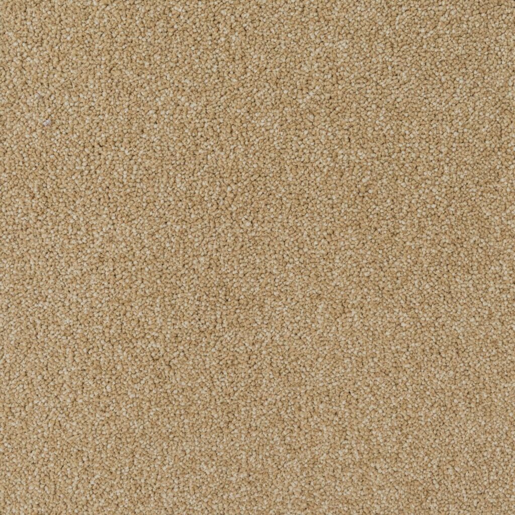 Penthouse-Carpets-Performance-Cognac-40oz-1-2048x2048