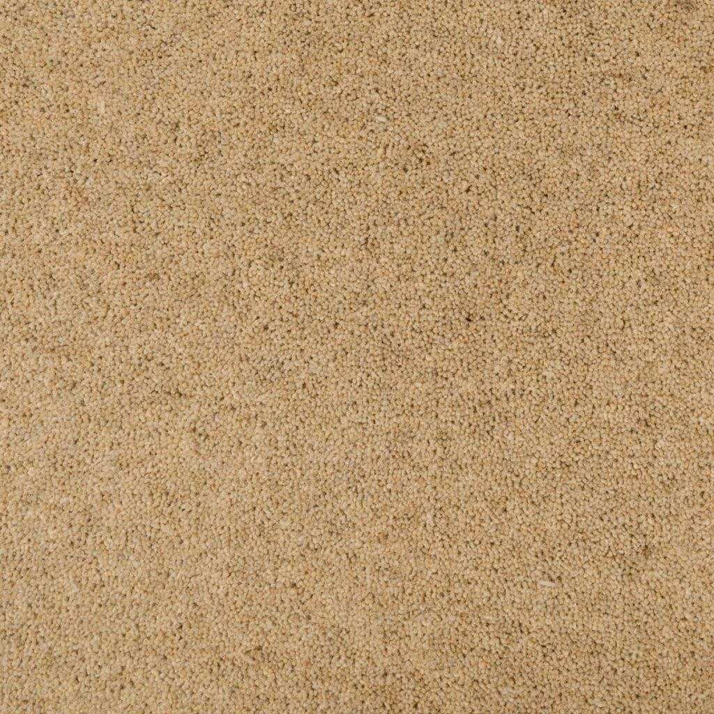 Penthouse-Carpets-Seasons-Summer-1