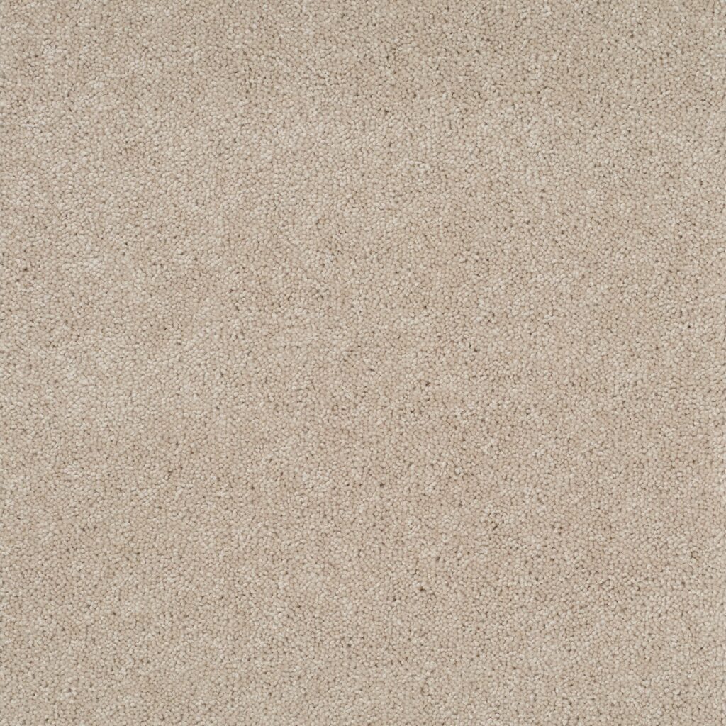 Pentwist-Naturals-Cashew-8-inch