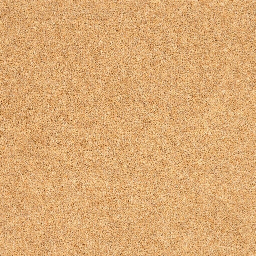 Cork board texture, close-up view.