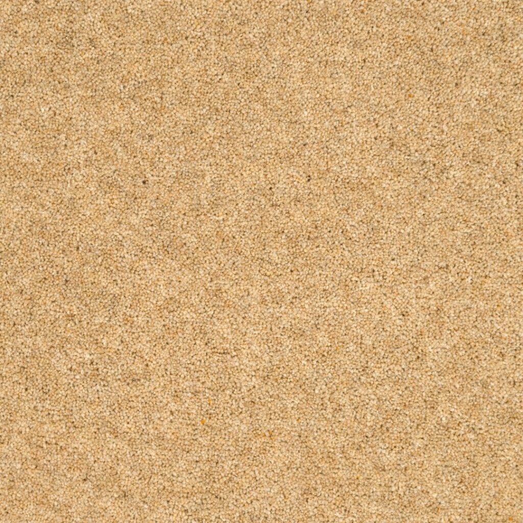 Vermont-Dallas-50-oz-1-Large