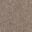 Close-up of textured beige carpet fibers.