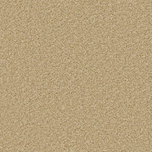 apollo-plus_caramel_overhead
