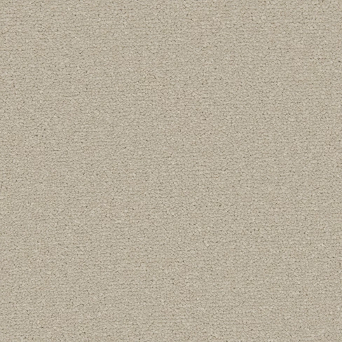 apollo-plus_pebblestone_overhead