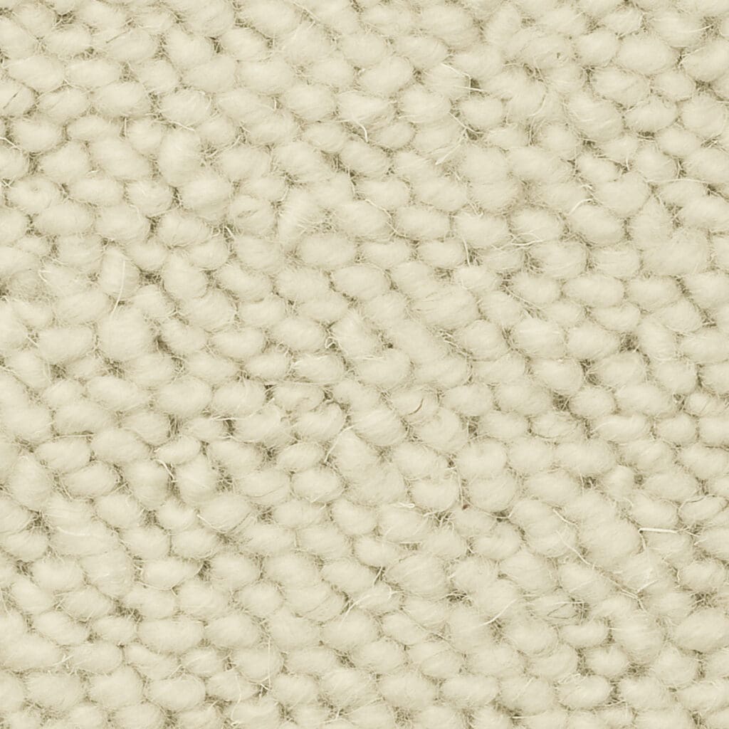 Close-up of textured beige carpet fibers.