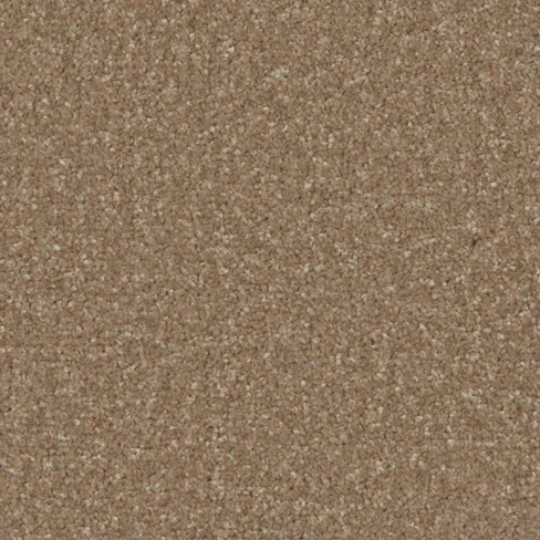 kingston_classic_cedar_overhead
