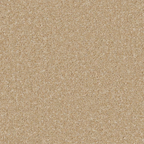 kingston_classic_hayseed_overhead