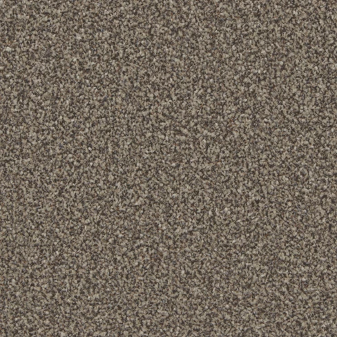 kingston_classic_molasses_overhead