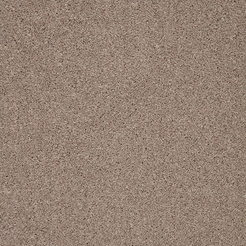 trinity_biscuit_overhead