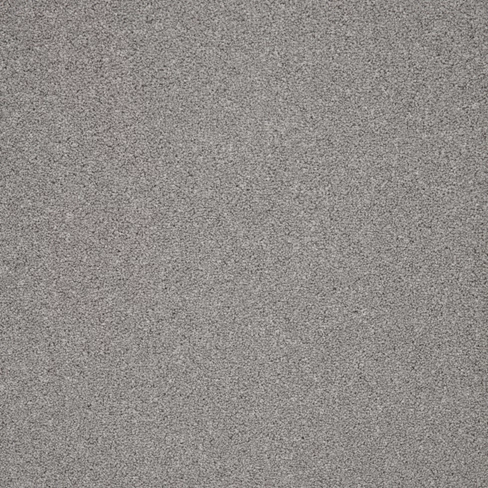 trinity_seagull_overhead
