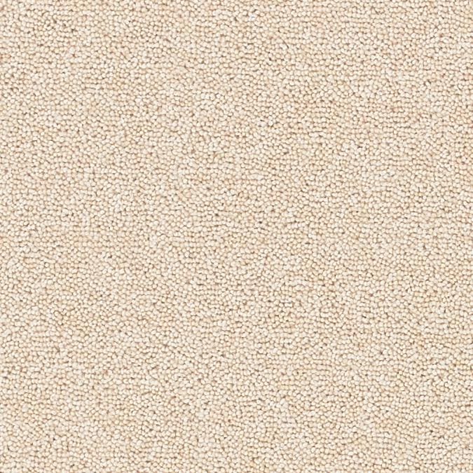 Solar-Almond