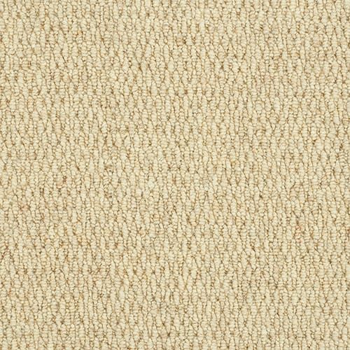 Close-up of beige carpet texture.