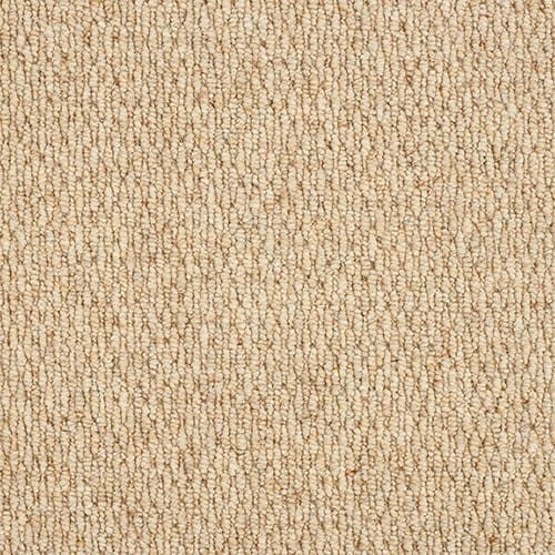 Beige textured carpet with looped pattern.