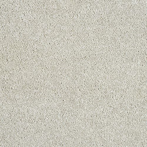 Light gray textured carpet surface.