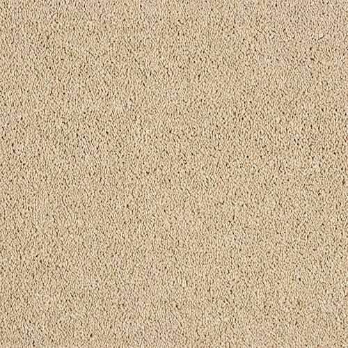 Beige textured carpet surface, close-up view.