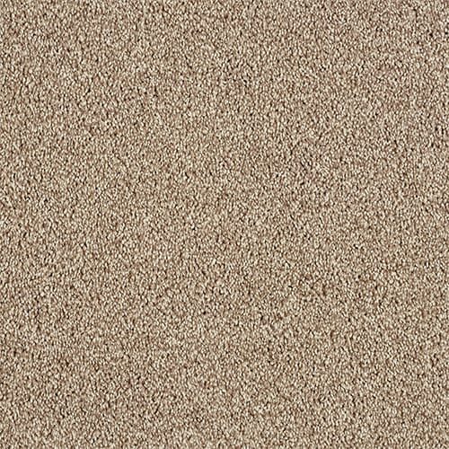 Beige textured carpet close-up view.