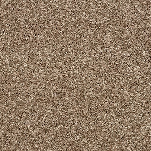 Brown textured carpet close-up.