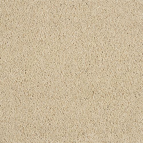 Beige textured carpet surface, close-up view.