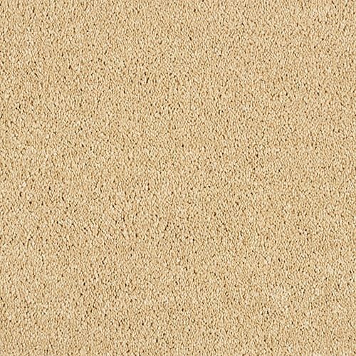Beige textured carpet close-up view.