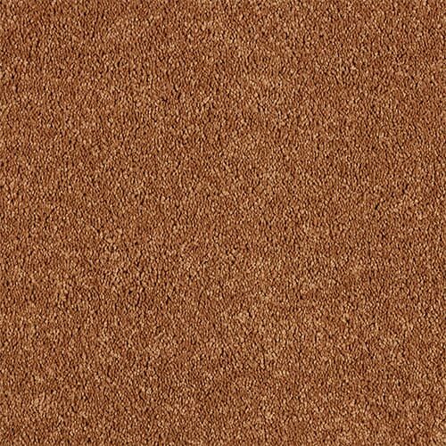 Brown textured carpet, close-up view.