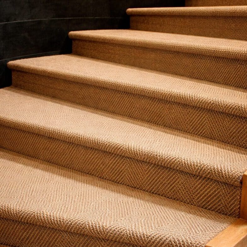 Carpeted stairs with wooden edges.