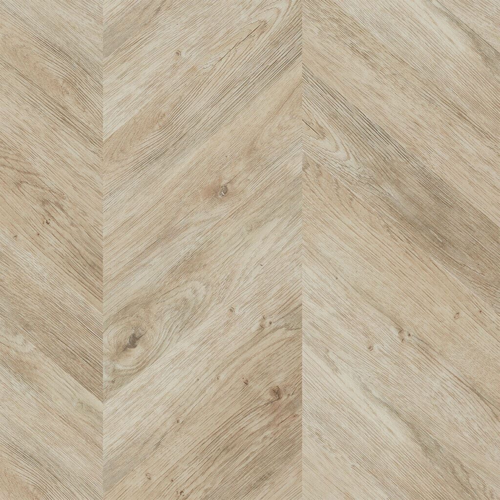 CVR51