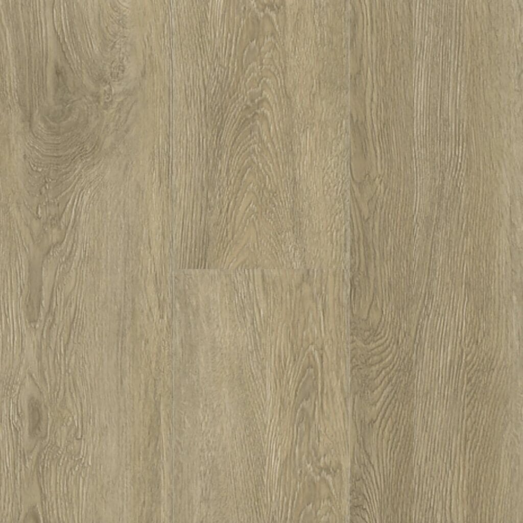 NT54